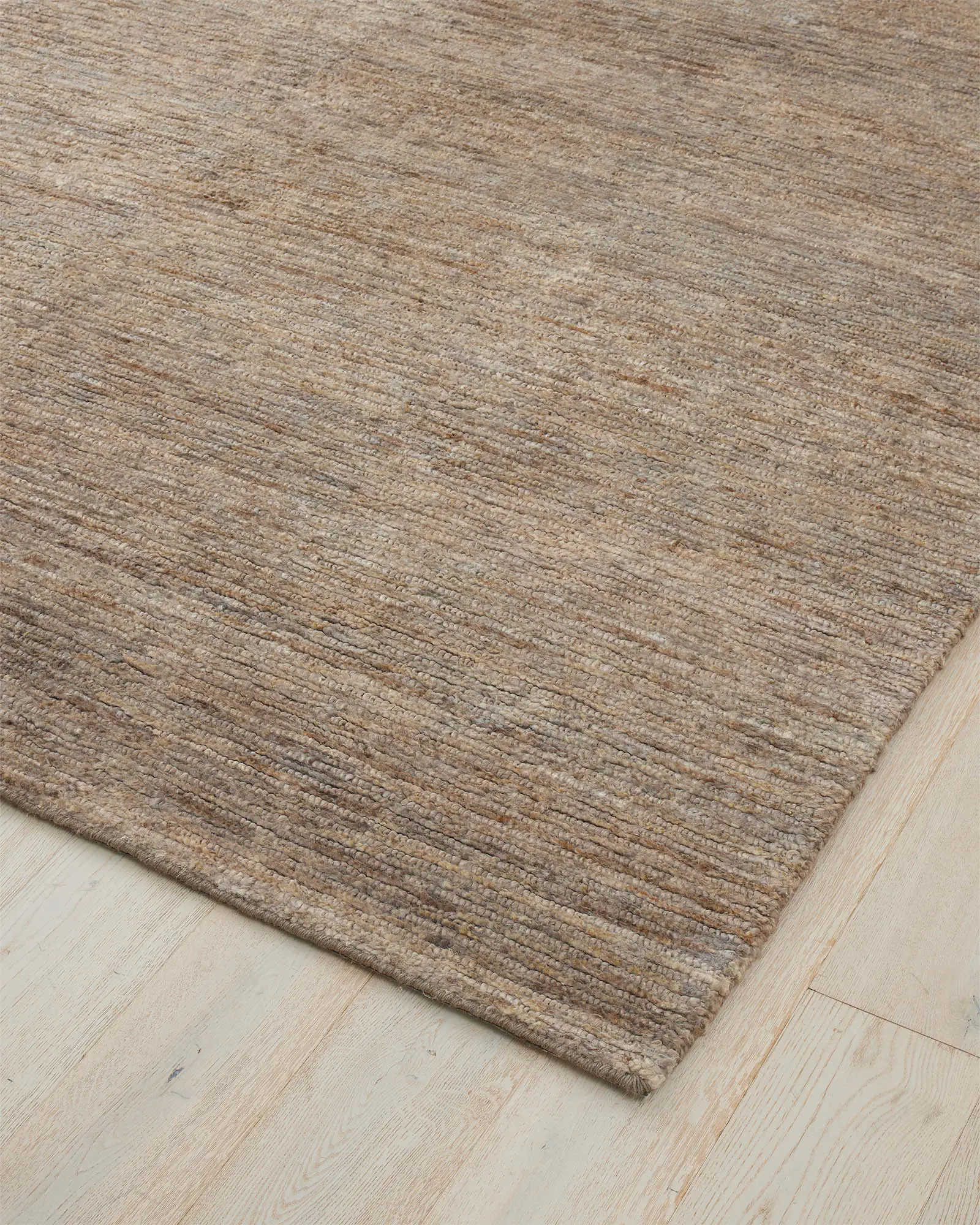 Bastian Fossil - Image 3